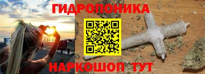 стафф Будённовск