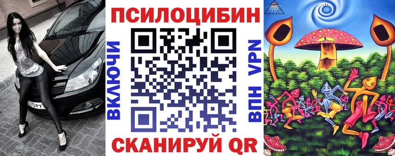 сколько стоит  кракен ONION  Псилоцибиновые грибы MAGIC MUSHROOMS  Советская Гавань 