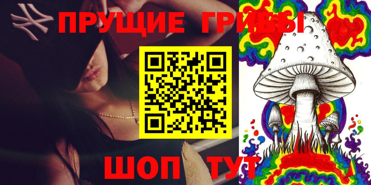 Галлюциногенные грибы GOLDEN TEACHER Советская Гавань