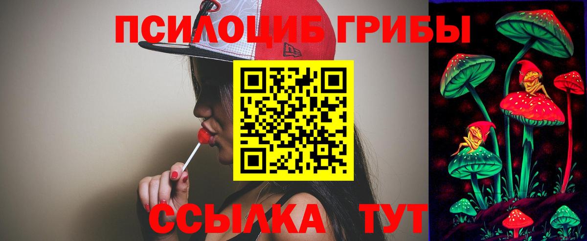 Галлюциногенные грибы прущие грибы Советская Гавань